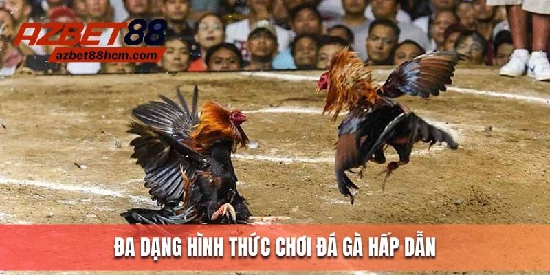 Azbet88 cung cấp đa dạng hình thức đá gà trực tiếp hấp dẫn
