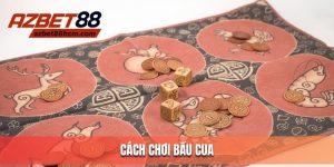 CÁCH CHƠI BẦU CUA