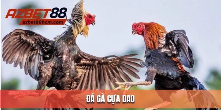 đá gà cựa dao