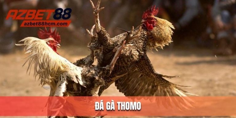 ĐÁ GÀ THOMO