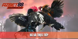 đá gà trực tiếp