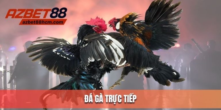 đá gà trực tiếp