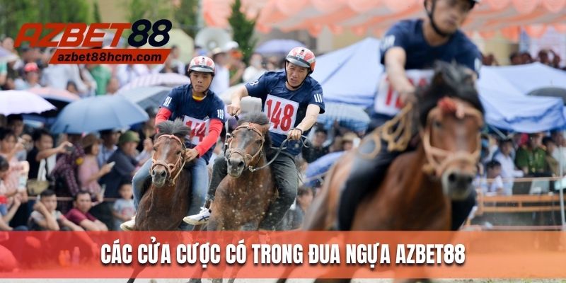 Tổng hợp các dạng cá cược trong đua ngựa