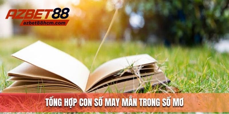 Tổng hợp con số may mắn liên quan đến sổ mơ
