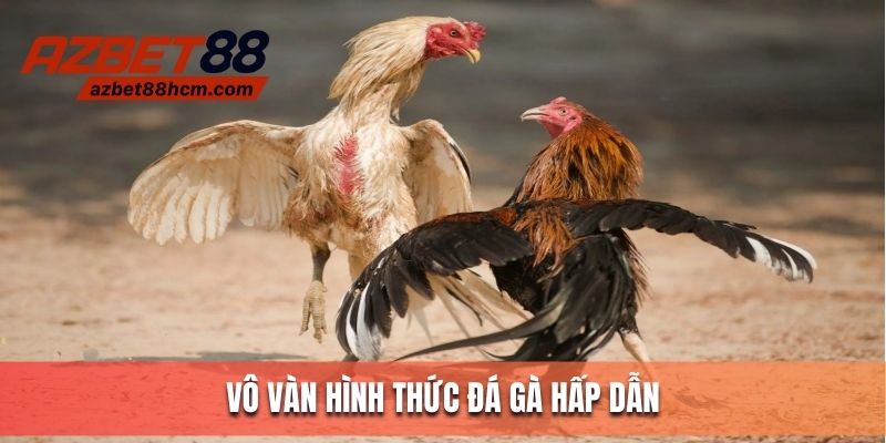 Vô vàn hình thức đá gà siêu hấp dẫn tại Azbet88